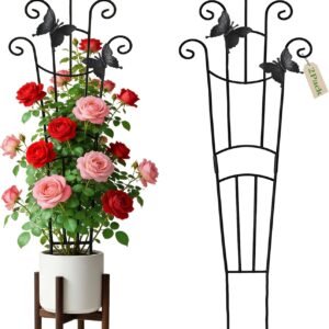 Plant Trellis for Climbing Plants Indoor Outdoor πΊπΈ