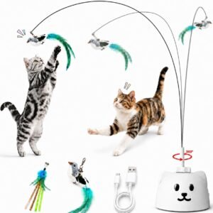 Interactive Cat Toys for Indoor Cats  *🇺🇸*