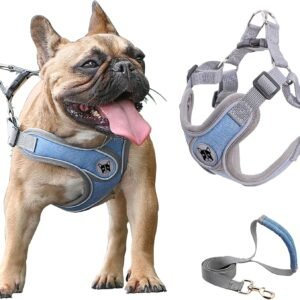 Puppy Harness and Leash Set N