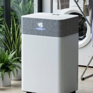 Dehumidifier for Basement *🇺🇸* N