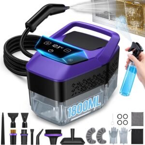 Steam Cleaner for Home